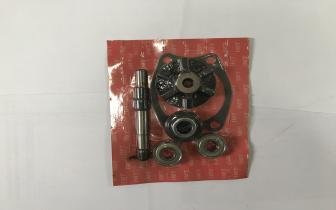 Set vodene pumpe IMT 533